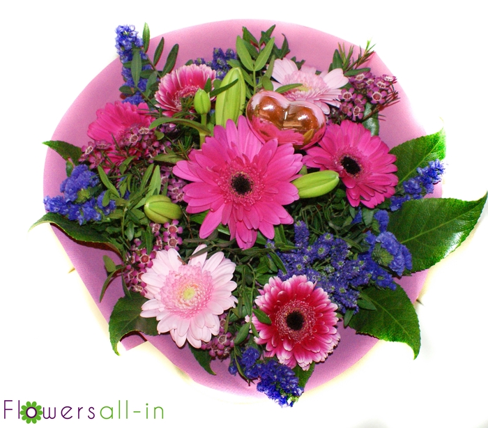 <h4>M202301-roze</h4>