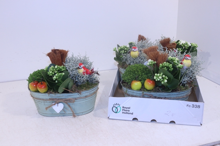 <h4>ARR TUINPLANTEN</h4>