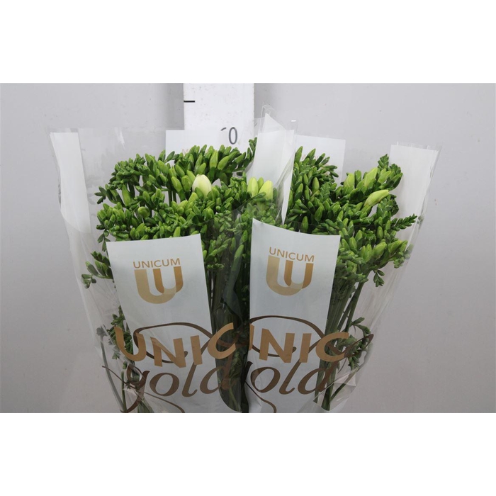 <h4>Fr En Ambiance</h4>