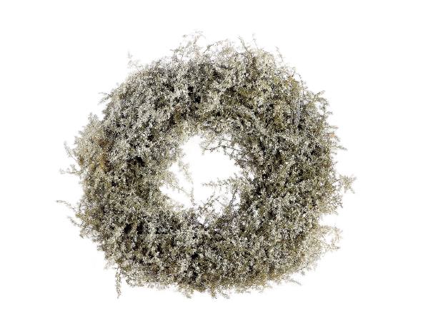 Wreath Asparagus Snow D40