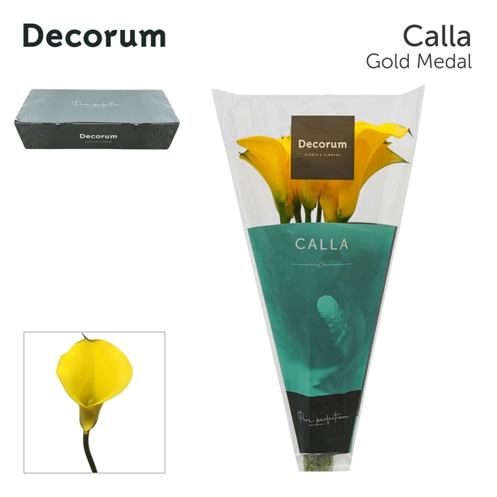 <h4>Calla Gold Medal</h4>
