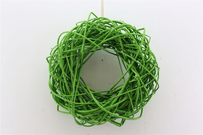 <h4>Wr Cornus Painted Carnaval Green 45cm</h4>