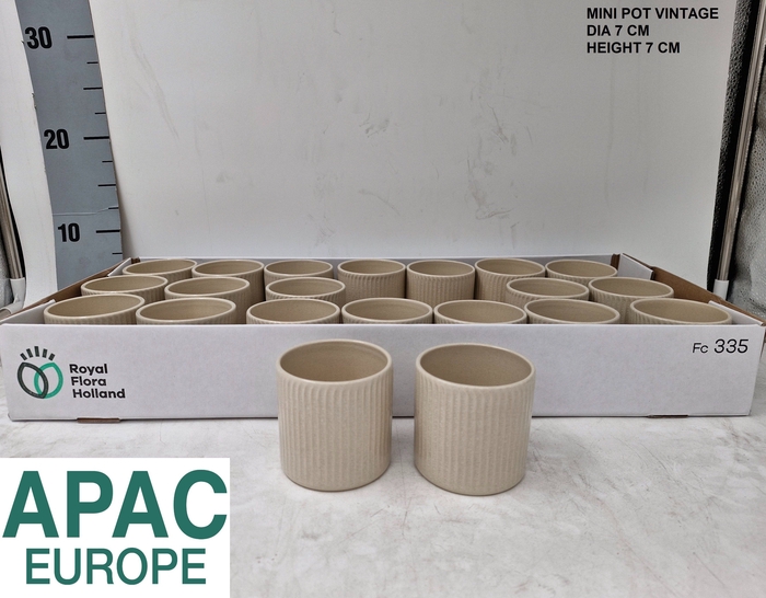 <h4>KERAMISCHE POT H%</h4>