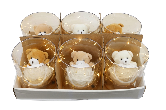 <h4>ARR ROSA POT H%</h4>