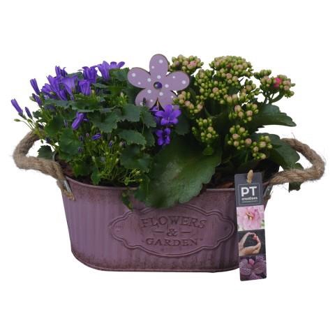 <h4>PTSO6001 Arrangement Summer Outdoor in metalen bak</h4>