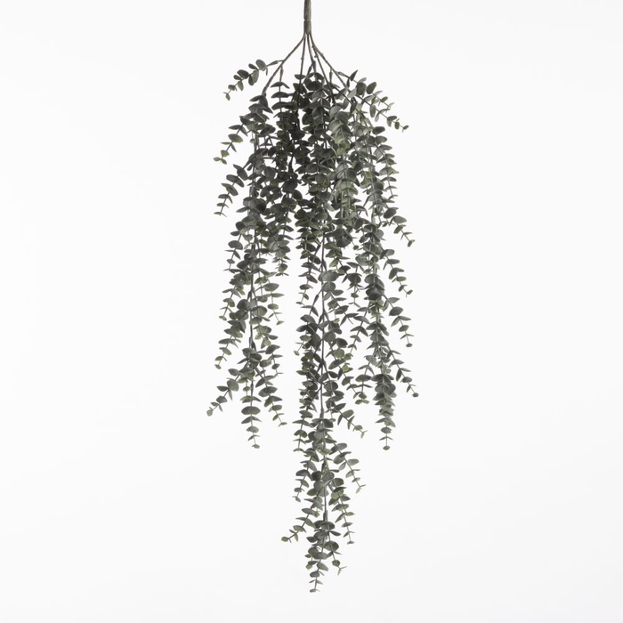 <h4>Af Hangplant Euca X 5 L80cm</h4>