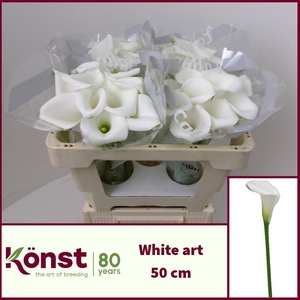 ZANT WHITE ART