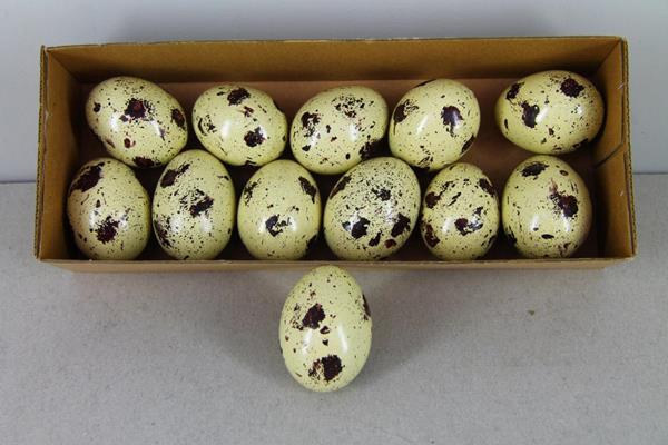 <h4>Egg Quail Large Box (12pc)</h4>