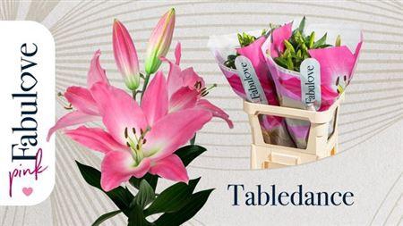 <h4>Li Ot Tabledance 5+</h4>