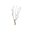 Syringa Branch Super Kessels