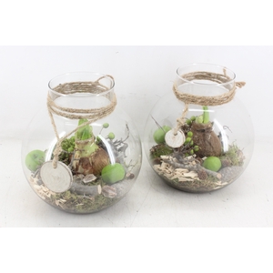 arr4 Amaryllis MB - Glas bol nek 285/4