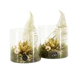 61913: X-mas arrangement