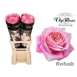 R Gr Rehab