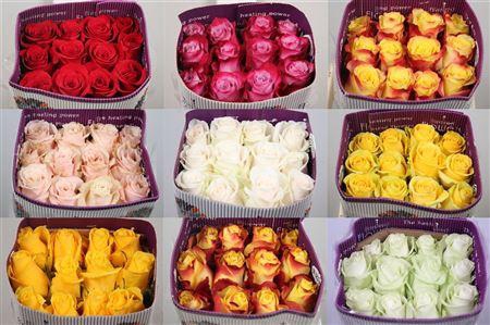 R Gr Gemengd In Fust Ec