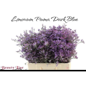 LIM PIUMA DARK BLUE