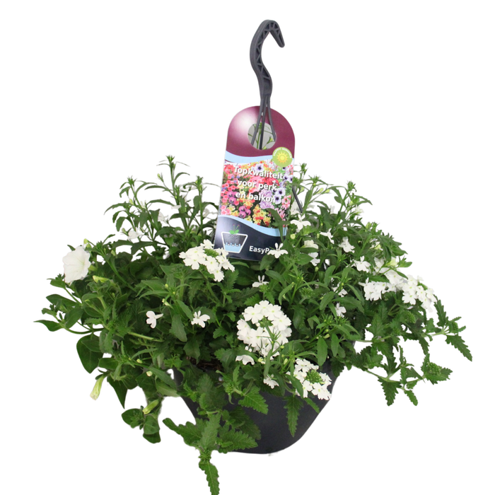 Hangpotten 27 waterreservoir mix 04 Witte mix