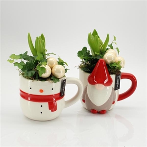 Arrangementen Hyacinthus 6%