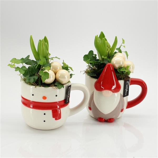 <h4>Arrangementen Hyacinthus 6%</h4>