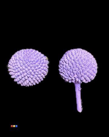 <h4>Craspedia Klb Milka</h4>