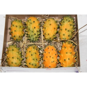 Sier Cucumis Kiwano Orange Hol P Box