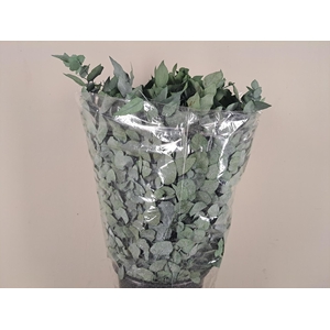 PF Euca Stuart Green Bs 150g