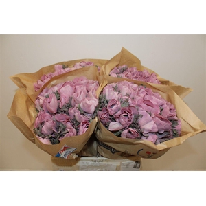 Anem Marianne Powder Wine Red