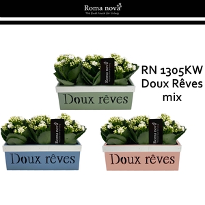 Kalan Rom 1305KW  Doux Rêves Mix