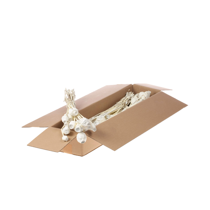 <h4>Papaver Sb White Sil Glit</h4>