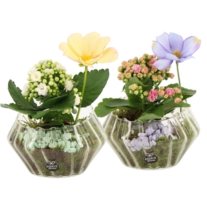 11575: Consideration arrangement