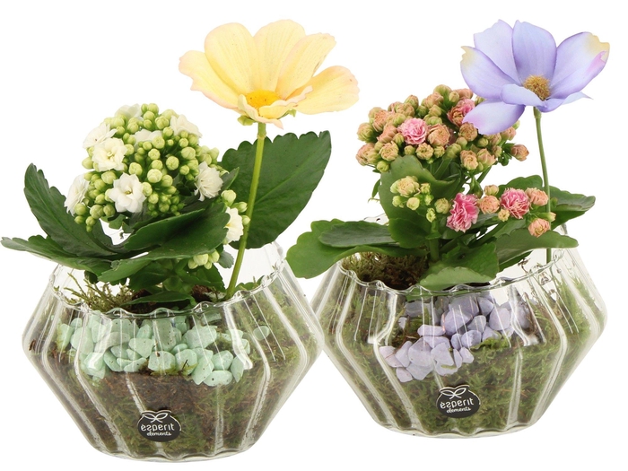 <h4>11575: Consideration arrangement</h4>