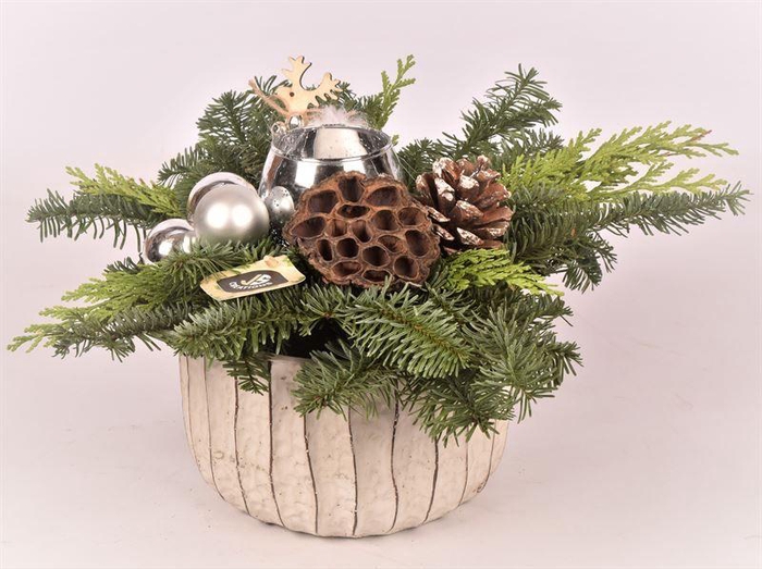 <h4>Cement schaal ribbel ww 22cm</h4>