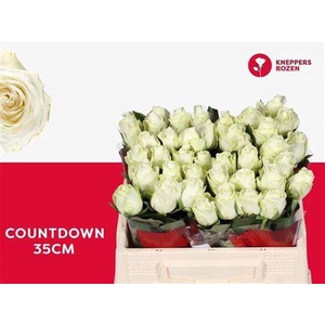 R Gr Countdown!