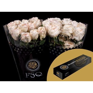 R Gr Gar Vicky Gardens Box