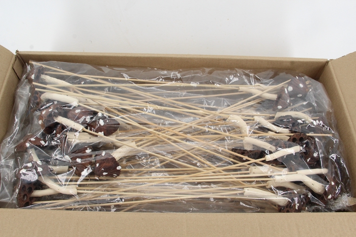 <h4>Stick Mushroom Lotus Brown</h4>