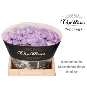 RAN OV MARSHMALLOW VIOLET x30