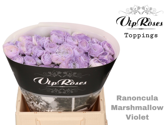 RAN OV MARSHMALLOW VIOLET