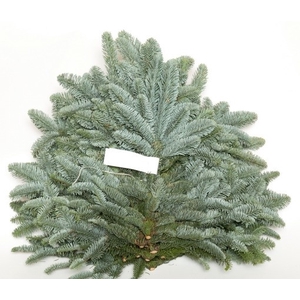 NOBILIS WITBAND 5KG ZIJKNIP