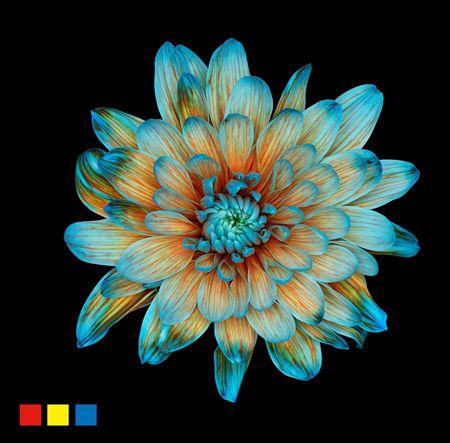 Chr T 2 Kl Baltica Blue Bay