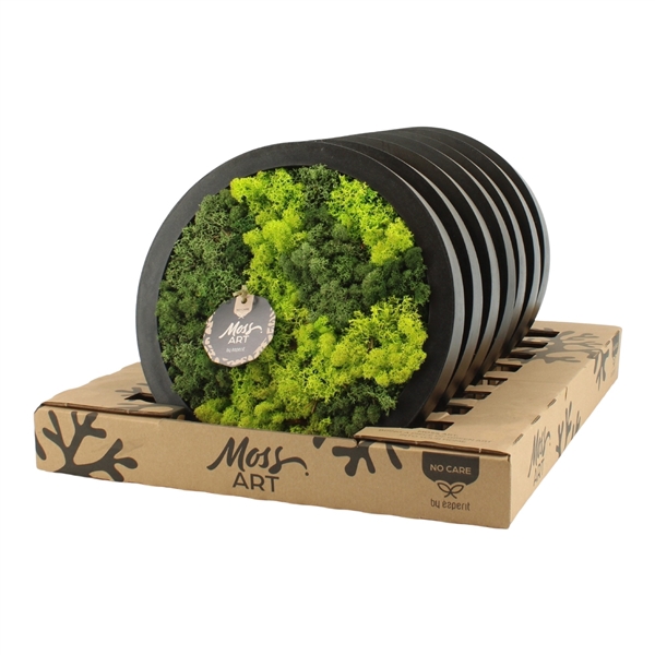 <h4>90650: Moss Art arrangement D27</h4>