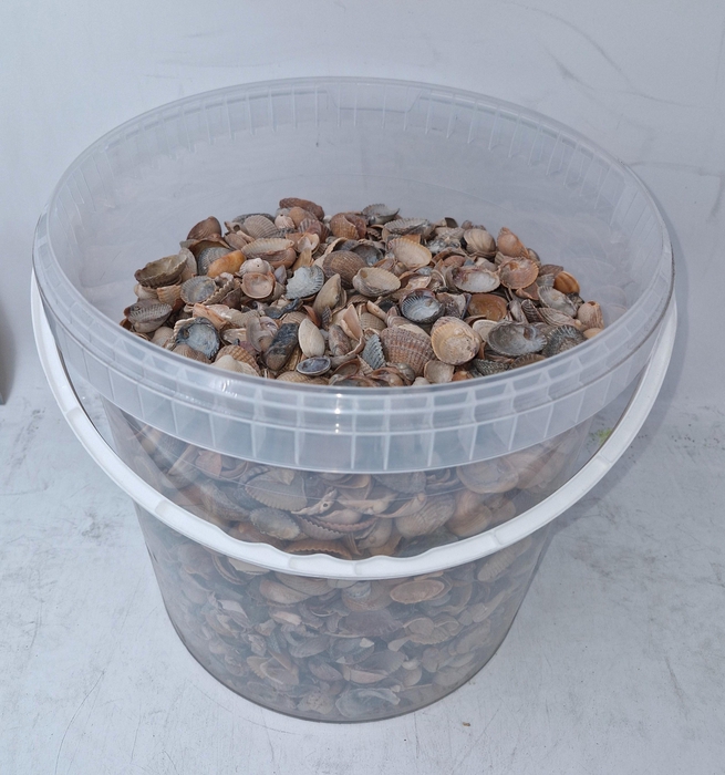 <h4>HUIS EN TUINDECO H%</h4>