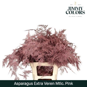 Aspa extra veren Metallic pink