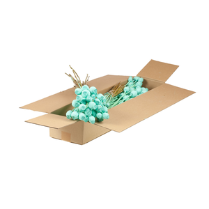 Papaver Sb Blue Aqua