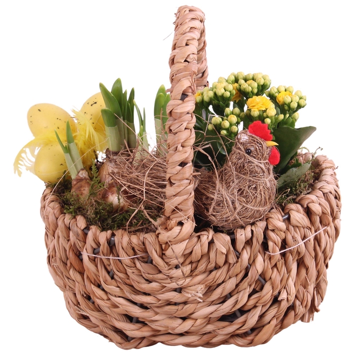 <h4>Easter Arr. Indoor Waterhyacint Handle Basket Ø21cm 2PP</h4>