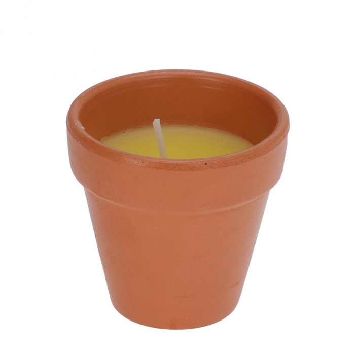 <h4>Outdoor Candle pot citronella d06*7cm</h4>