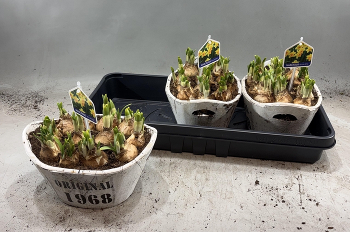 <h4>ARR N TETE A TETE</h4>