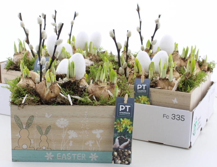 <h4>ARR N TETE A TETE</h4>