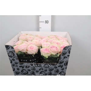 R Gr Bal Summerhouse