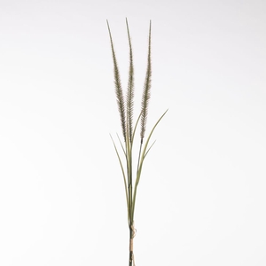 AF Pennis Bnd x3 71cm Grn/Rd