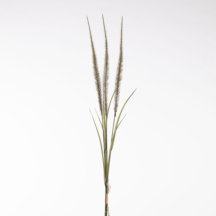 <h4>AF Pennis Bnd x3 71cm Grn/Rd</h4>