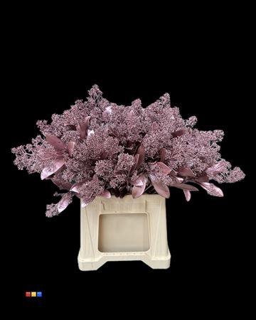 <h4>Skimmia Metallic Pink</h4>